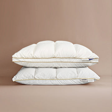 Double Layer Removable Goose Down Pillow